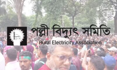 পল্লী বিদ্যুৎ লোগো