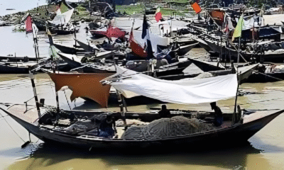 পাথরঘাটার নদীতে জেলে নৌকার সারি