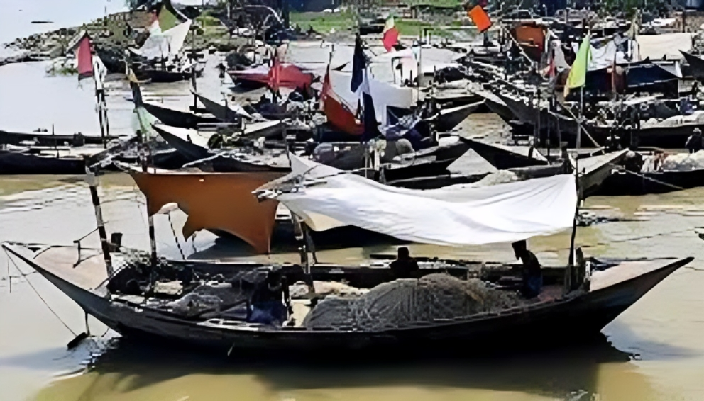 পাথরঘাটার নদীতে জেলে নৌকার সারি