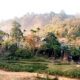 বিএসএফের কাছে আটক ২ যুবককে ফেরত আনল বিজিবি
