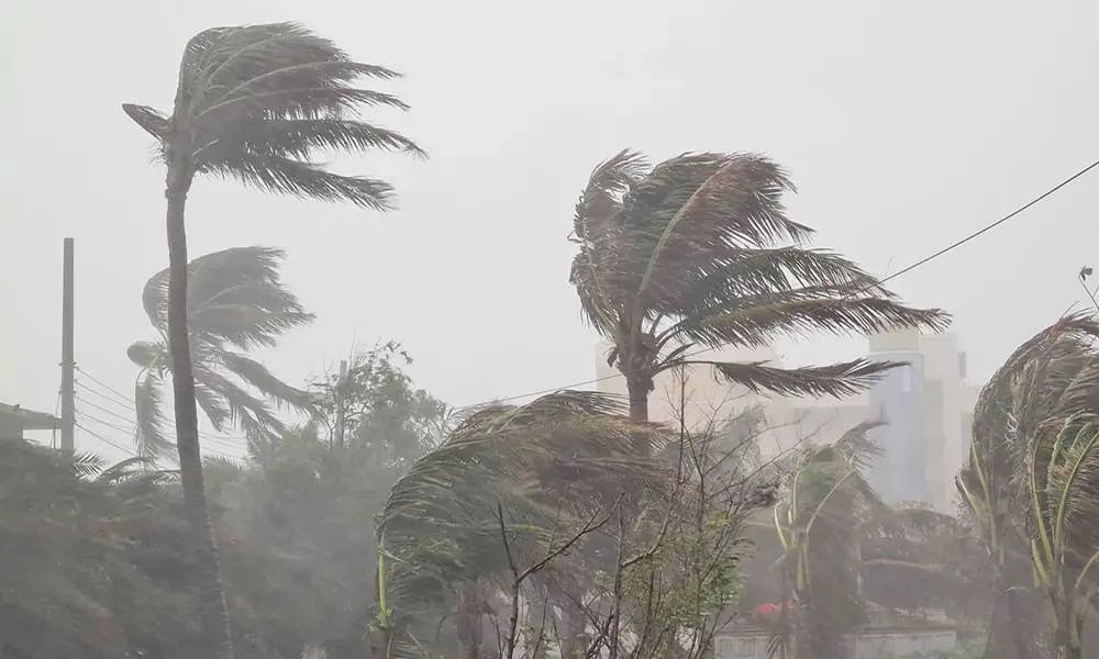 সন্ধ্যার মধ্যে ৮ জেলায় ঝড়ের শঙ্কা
