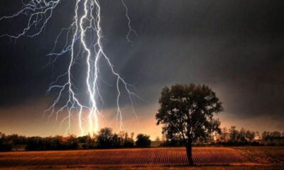 বজ্রপাতে বছরে প্রাণ হারান ৩৫০ জন