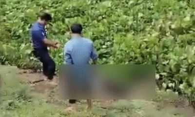 ব্রাহ্মণবাড়িয়ার বিজয়নগরে সড়কের পাশ থেকে অজ্ঞাত যুবকের (৩৫) গলাকাটা মরদেহ