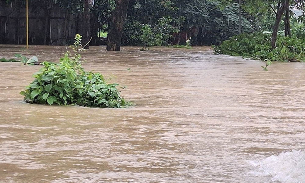 ভারী বৃষ্টিতে ২১ জেলায় ডুবেছে ৭২ হাজার হেক্টর ফসলি জমি