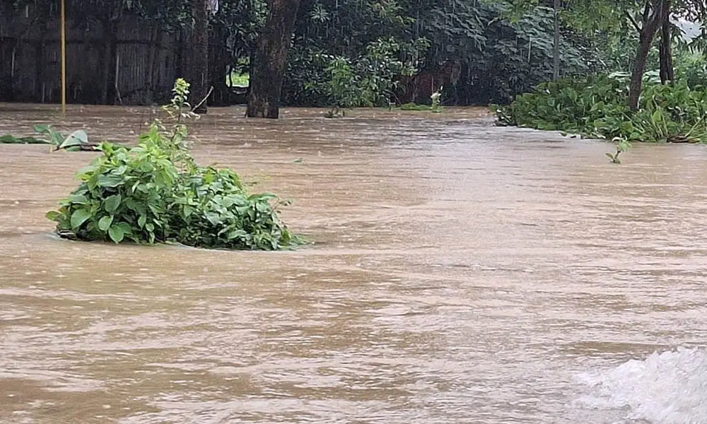 ভারী বৃষ্টিতে ২১ জেলায় ডুবেছে ৭২ হাজার হেক্টর ফসলি জমি