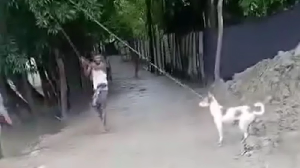 বরিশালে কুকুর হত্যা