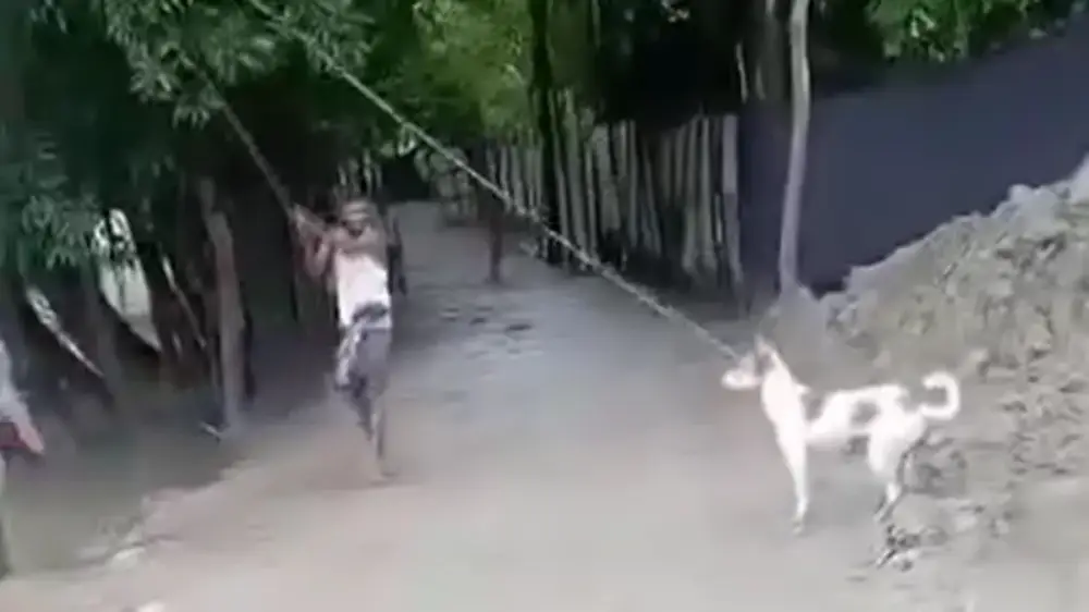 বরিশালে কুকুর হত্যা