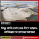 সিন্ধু পানিপ্রবাহ বন্ধ নিয়ে ভারত-পাকিস্তান সংঘাতের আশঙ্কা