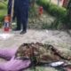 উত্তরায় বিমান বিধ্বস্তে নিহত বেড়ে ১৯