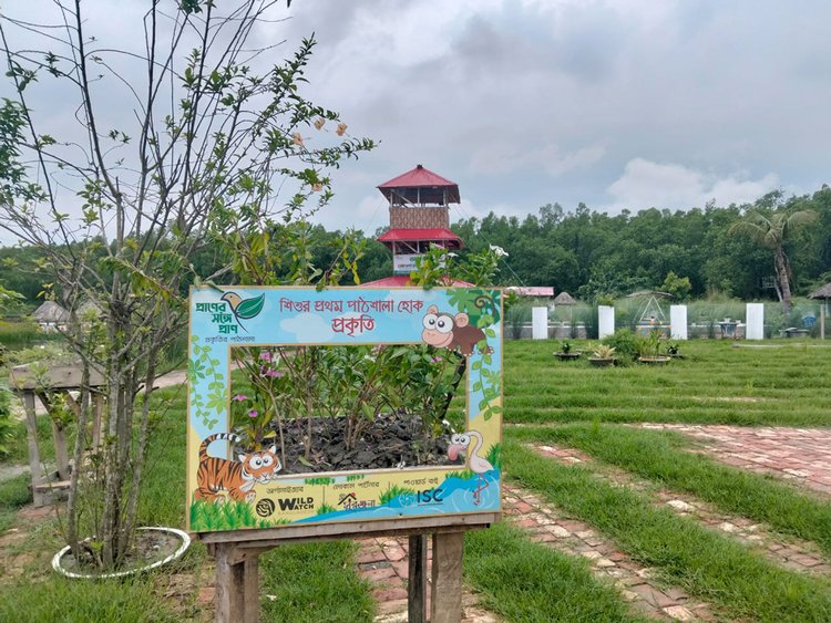 বরগুনায় গাছের হাসপাতাল