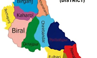 দিনাজপুরে যুবদল-এনসিপি সংঘর্ষে আহত ৬