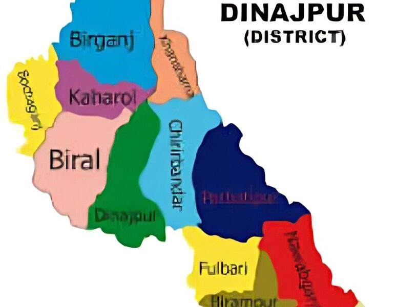দিনাজপুরে যুবদল-এনসিপি সংঘর্ষে আহত ৬