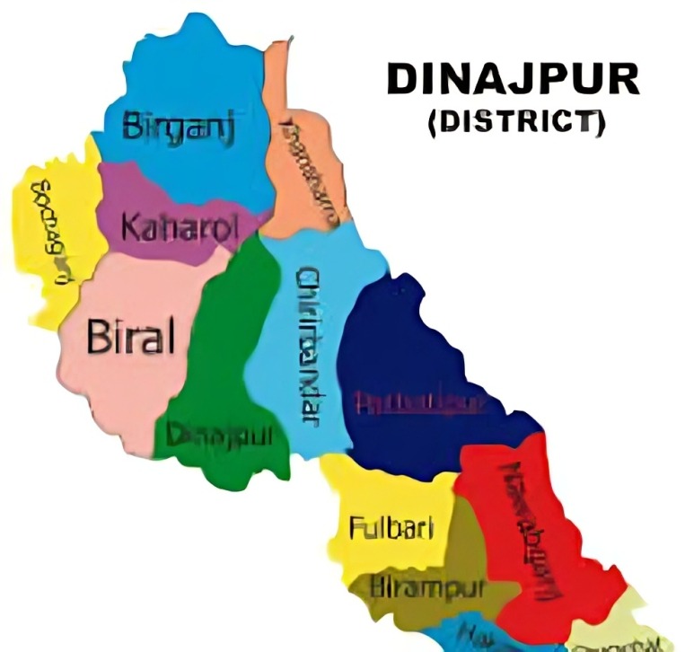 দিনাজপুরে যুবদল-এনসিপি সংঘর্ষে আহত ৬