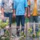 জব্দ করা পাখি