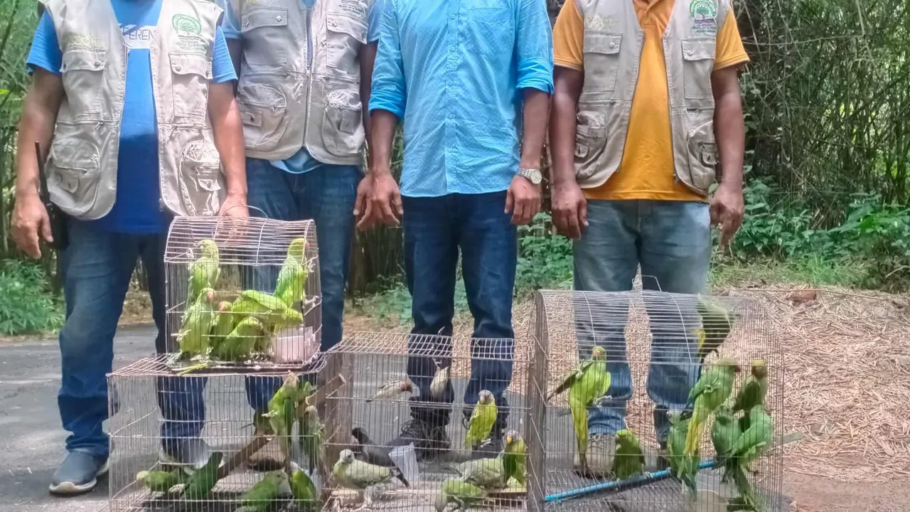 জব্দ করা পাখি