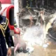 চাল ভেঙে পড়লেন পাইলট, জানালেন শিক্ষক