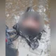গাজীপুরে ব্যাগে অজ্ঞাত ব্যক্তির মরদেহ, চাঞ্চল্য স্টেশন রোডে